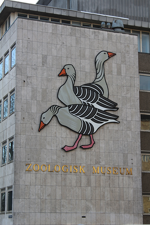 Zoologisk Museum of Kopenhavn University